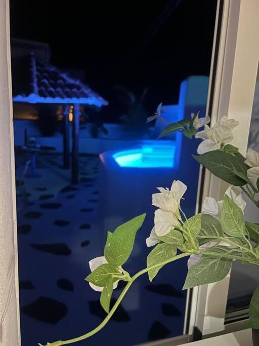 Con Piscina Climatizada *