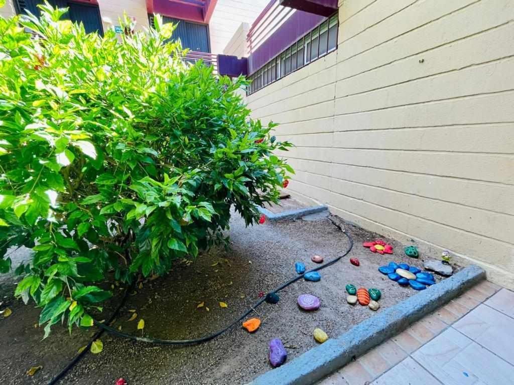 Appartement Brisa Marina Live Canarias *
