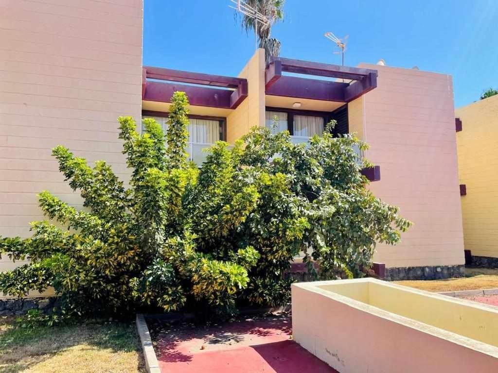 Appartement Brisa Marina Live Canarias