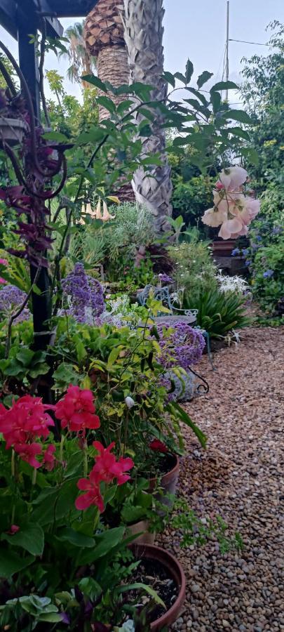 Casa Flora Garden Sauzal