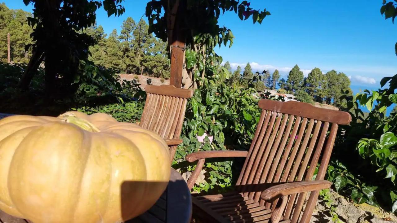 Casa Regina Icod De Los Vinos