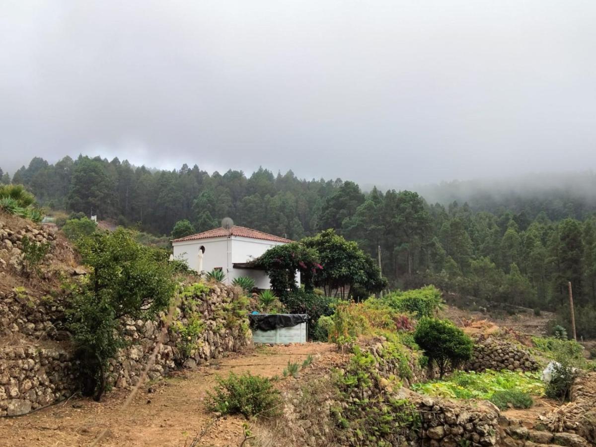 Casa Regina Villa *