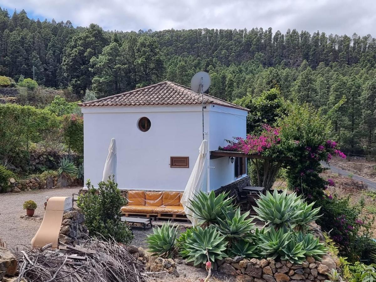 Villa Casa Regina Icod De Los Vinos