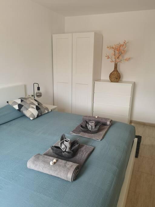 Apartment Am Mit Pool Santa Cruz de Tenerife