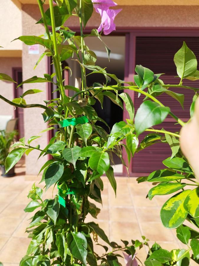 Vivienda Vacacional Compartida Couette-café *