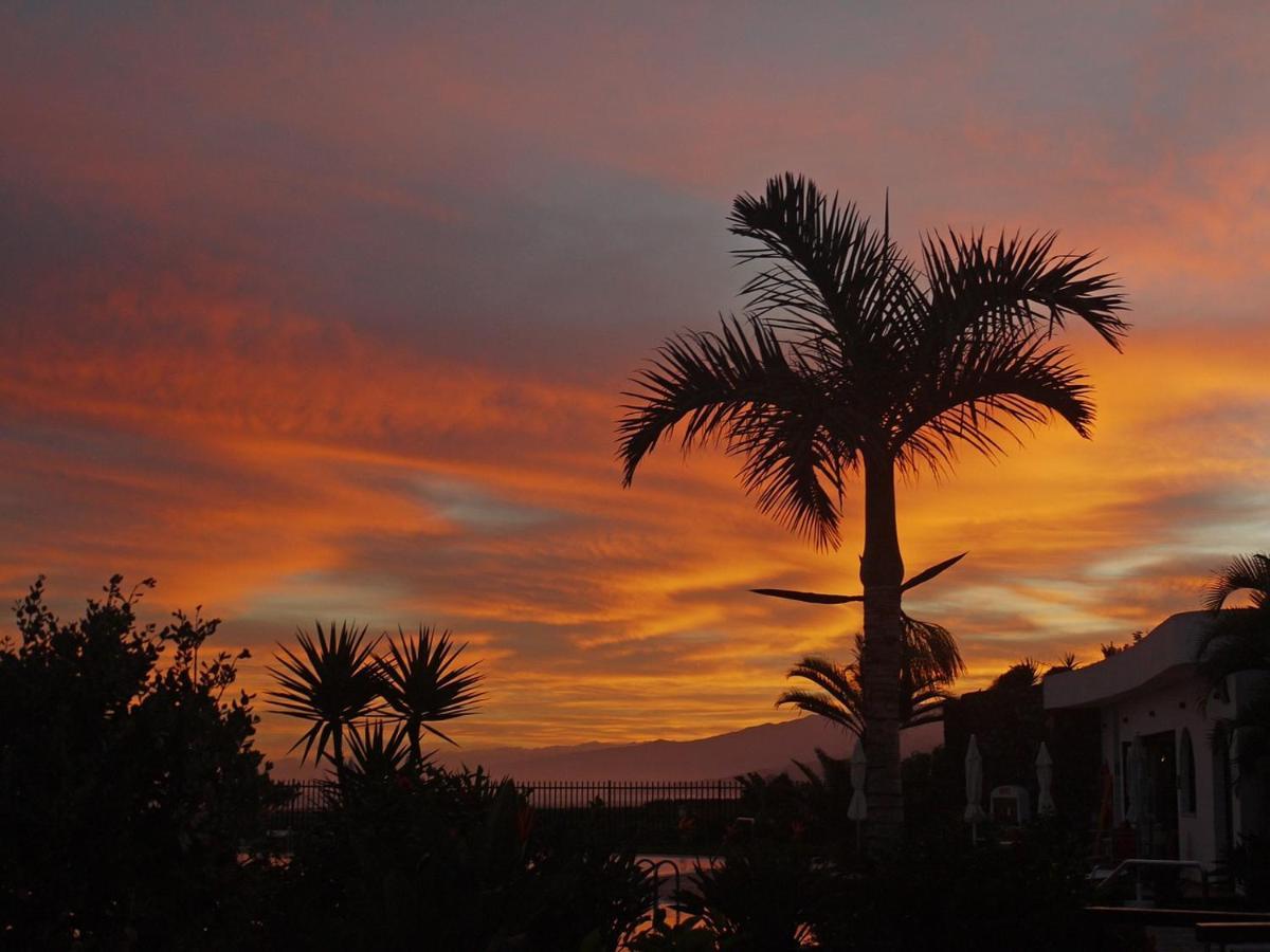 Apartment Tenerife Holidays Costa Adeje (Tenerife)