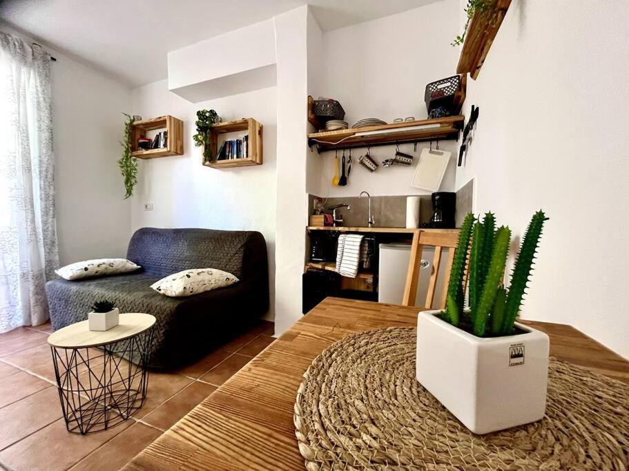 Appartement La Tejita Studio *