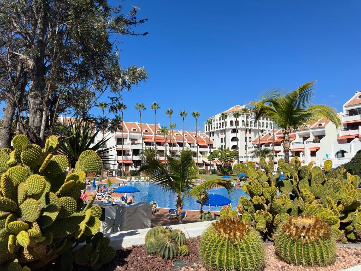 Parque Santiago Ii , Renovated, Ocean View, Heated Swimming Pool ! Appartement Playa de las Américas