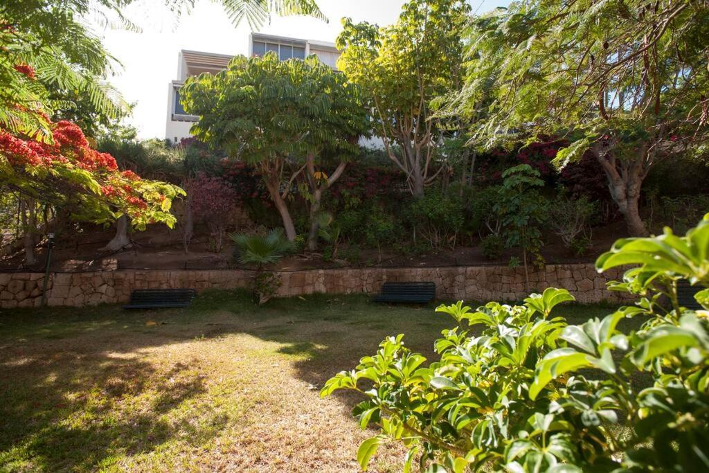 Modern 2 Bed Penthouse Americas Centre Of Town With A Pool And Ocean Views Apartamento *