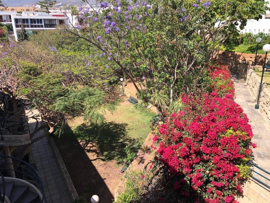 Modern 2 Bed Penthouse Americas Centre Of Town With A Pool And Ocean Views * Playa de las Américas