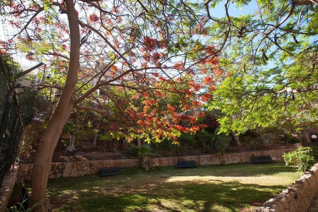 Apartamento Modern 2 Bed Penthouse Americas Centre Of Town With A Pool And Ocean Views *