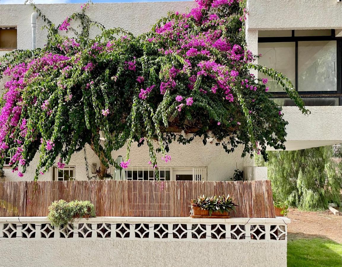 Apartment Casa Zoltan Costa Del Silencio