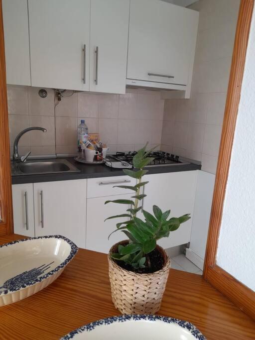 Amarilla Terrace * Arona (Tenerife)
