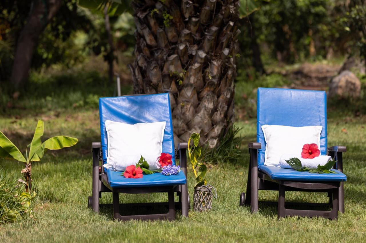 Home2book Charming Nature Casa Aurora Los Realejos