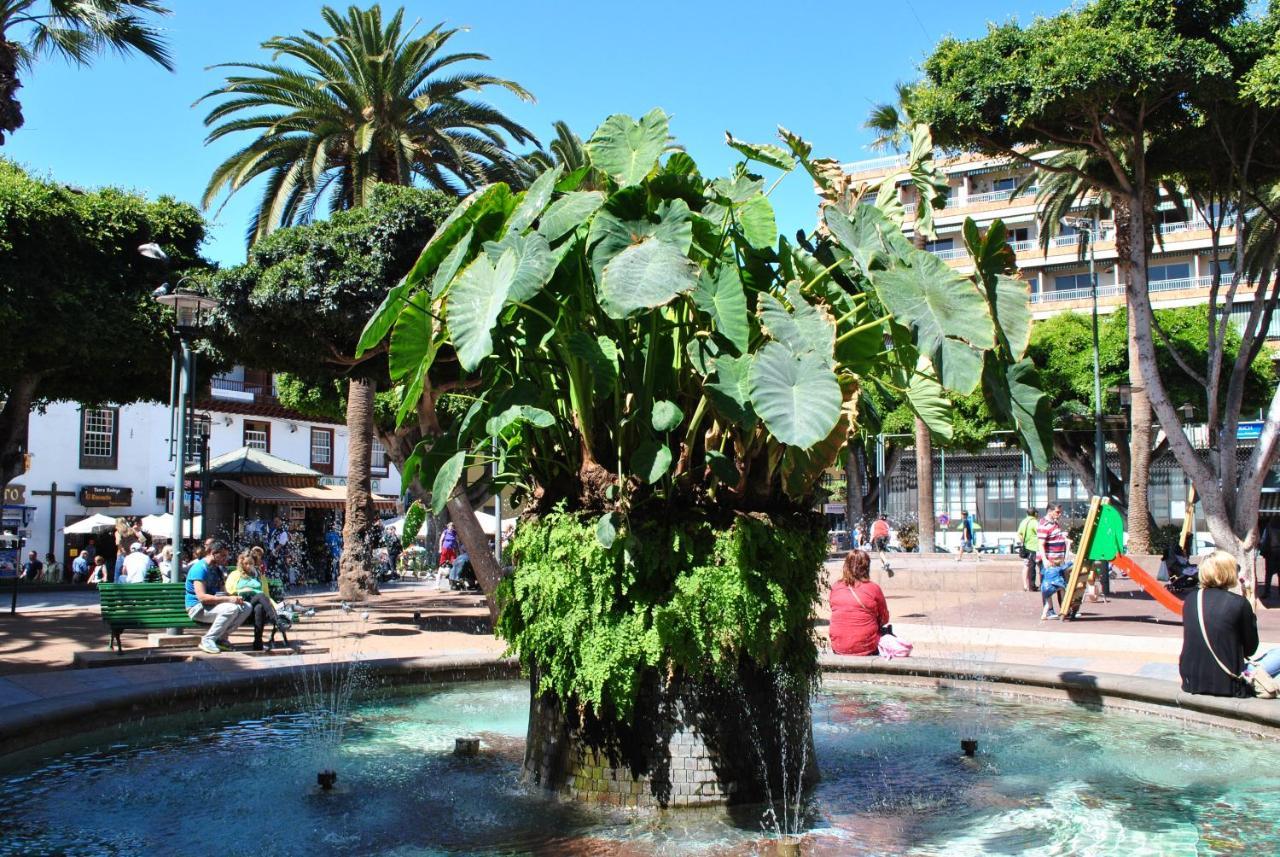 Durazno Tropical Puerto De La Cruz Apartamento