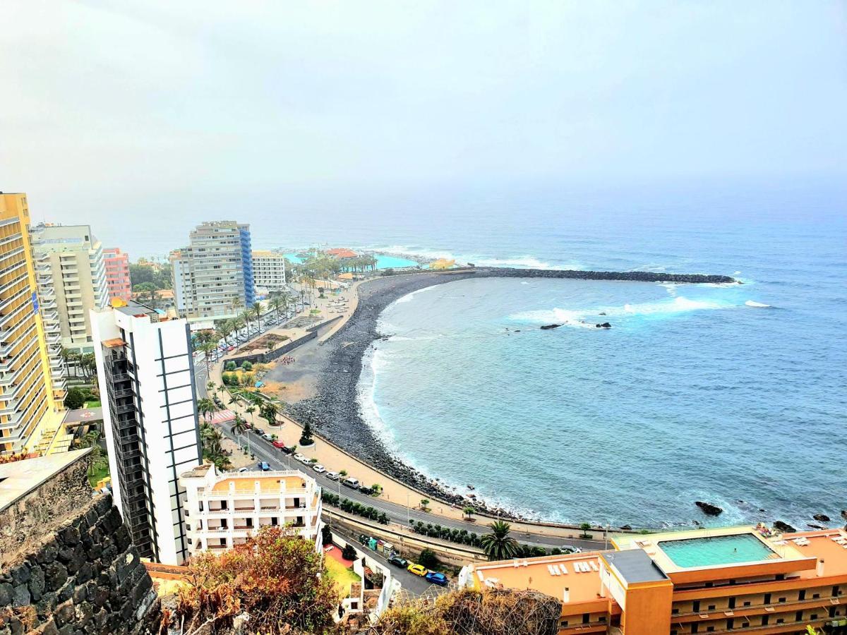 Durazno Tropical Puerto De La Cruz *