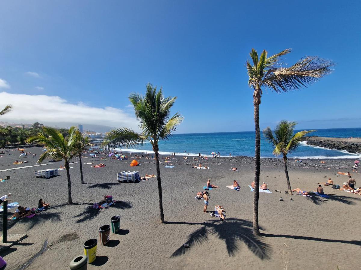 Durazno Tropical Puerto De La Cruz *