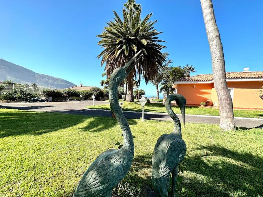 La Perla Exotica Villa *