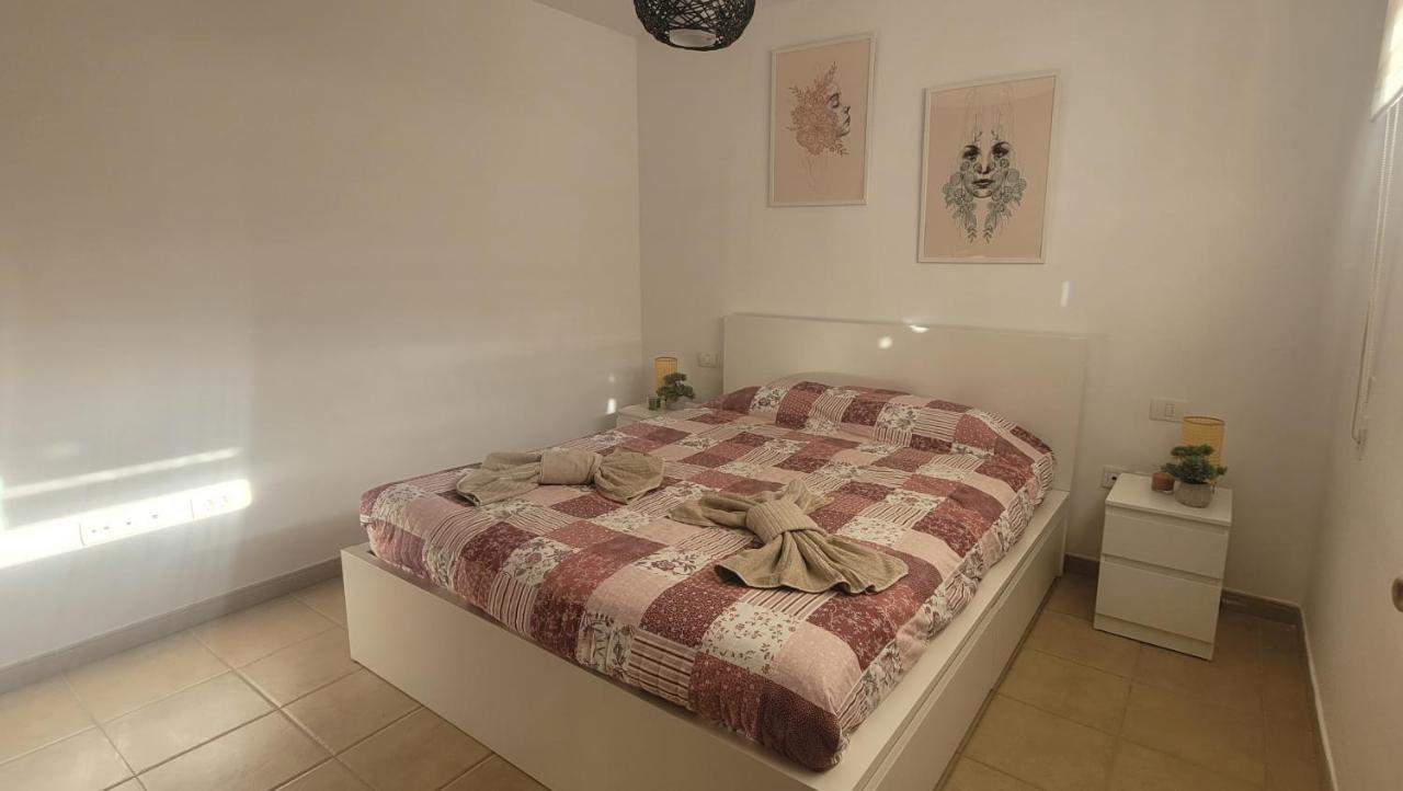 Discover The North Of The Island Of Tenerife * La Laguna (Tenerife)