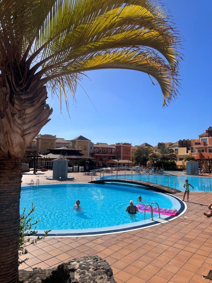 Sunset & Heated Pool Los Cristianos (Tenerife)