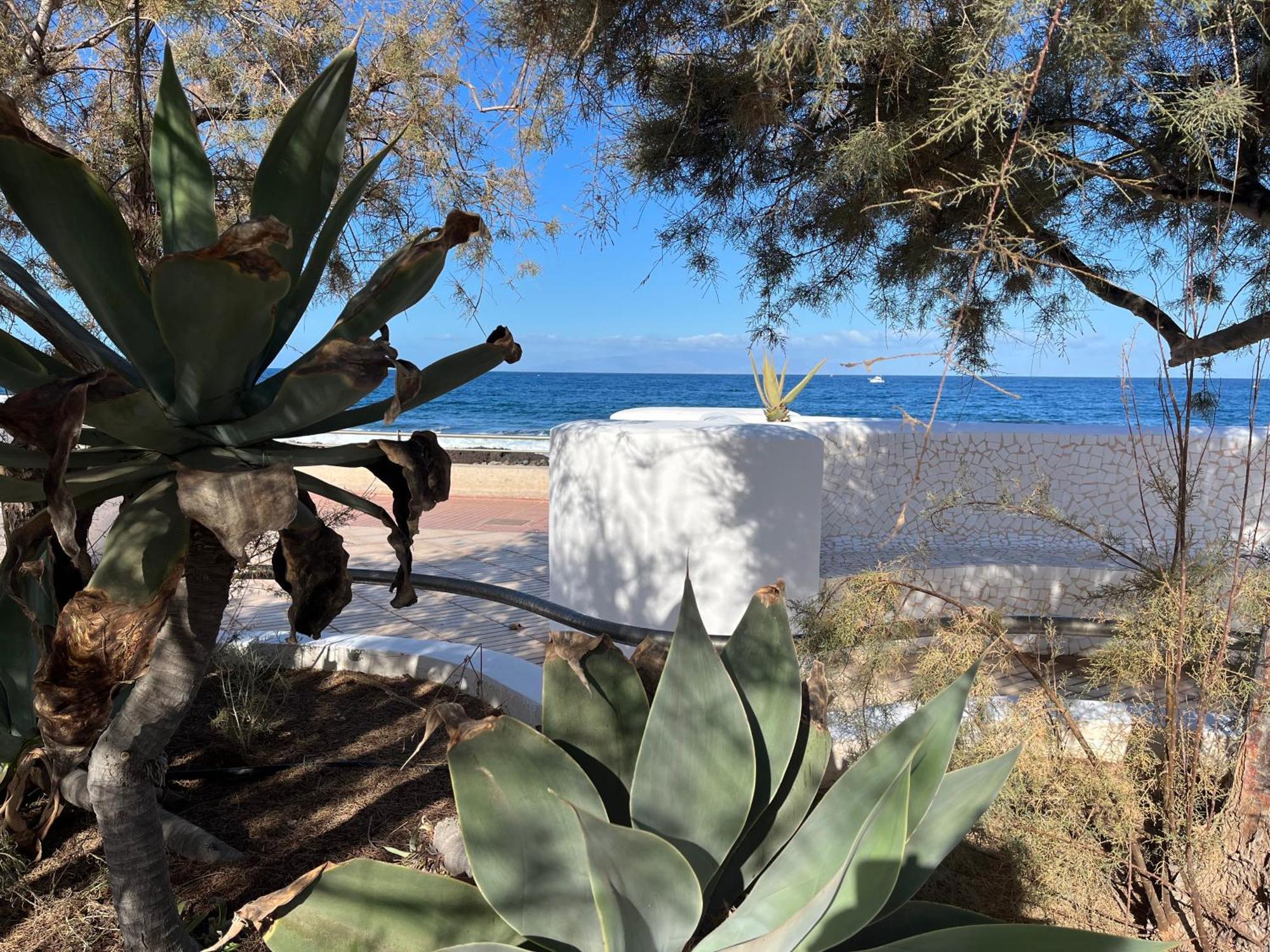 Orion Appartement Palm-mar