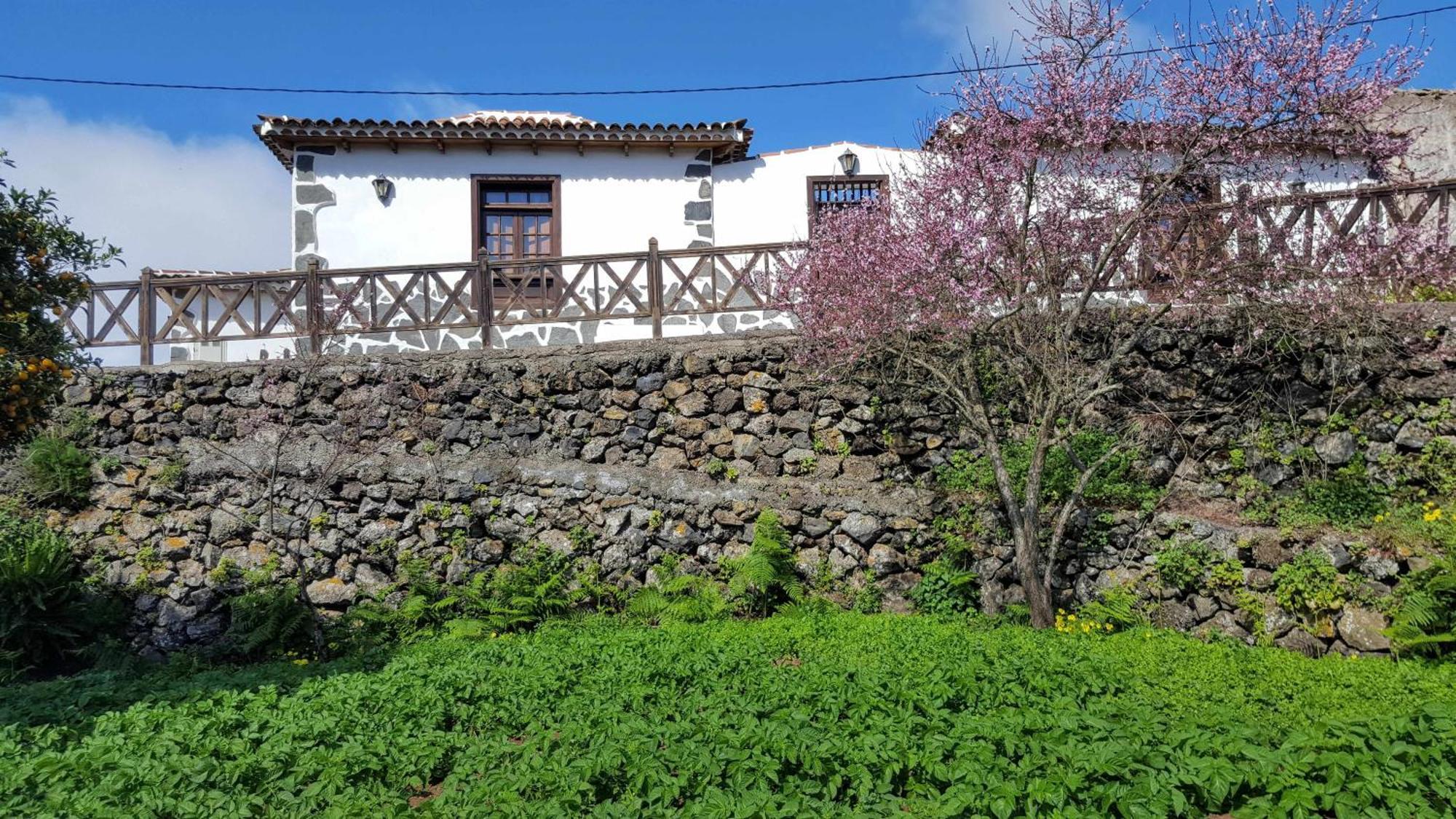 Monte Del Agua *