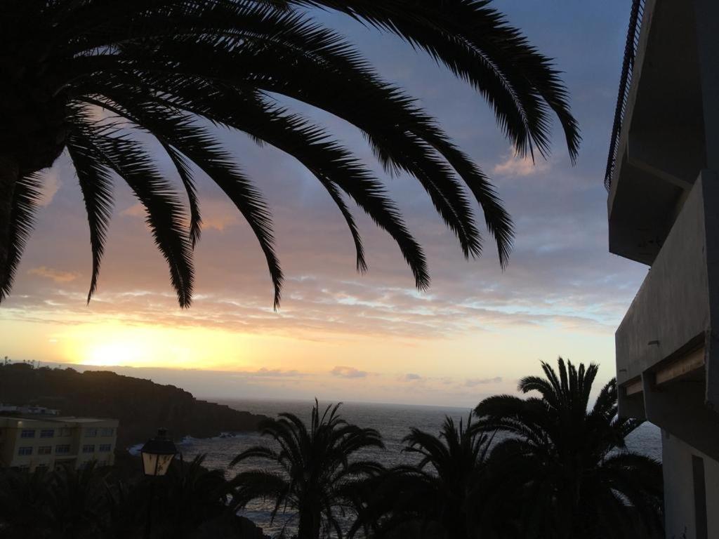Apartamento Casa Dominica *