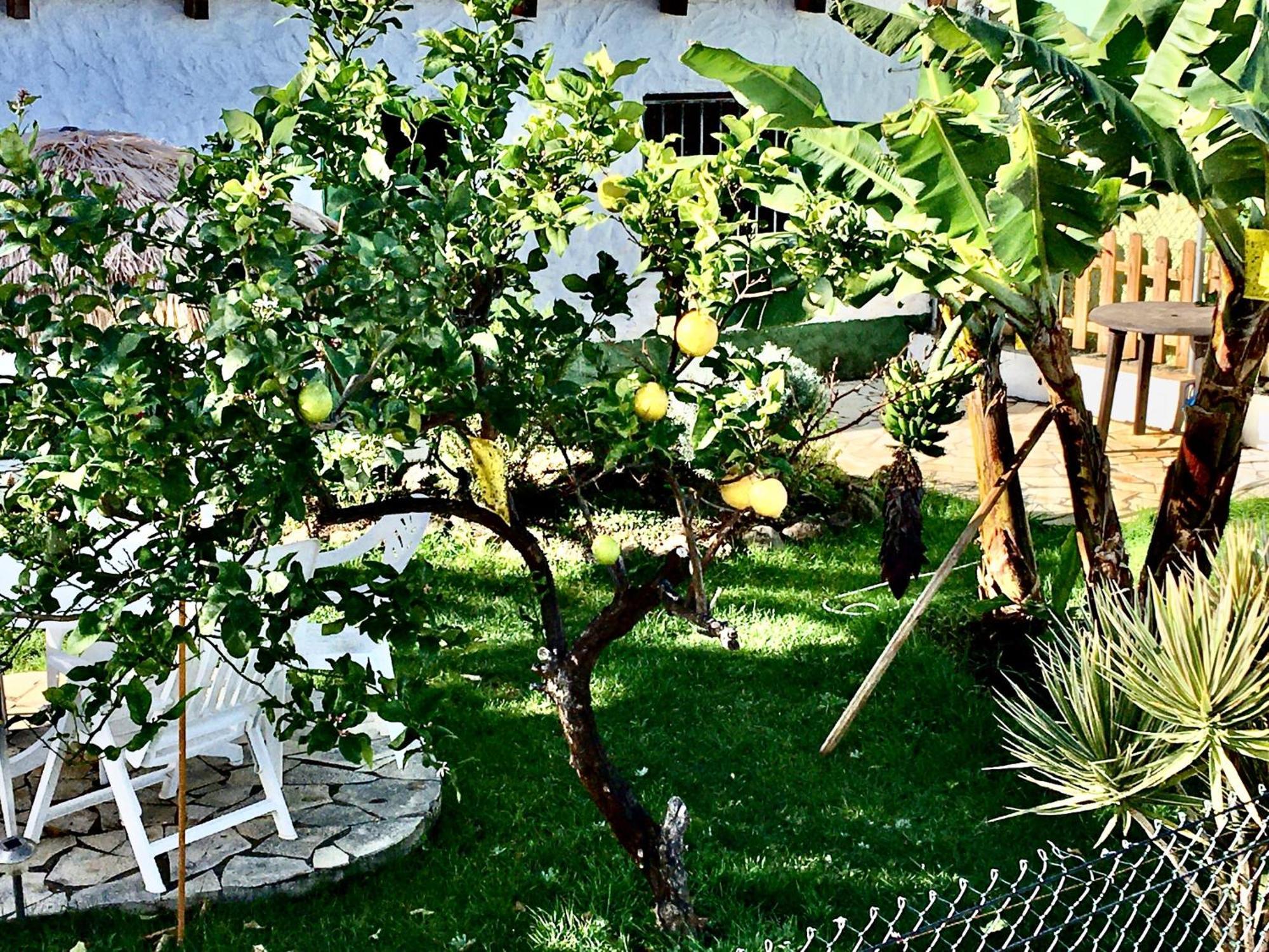 Apartamento Casa Dominica *