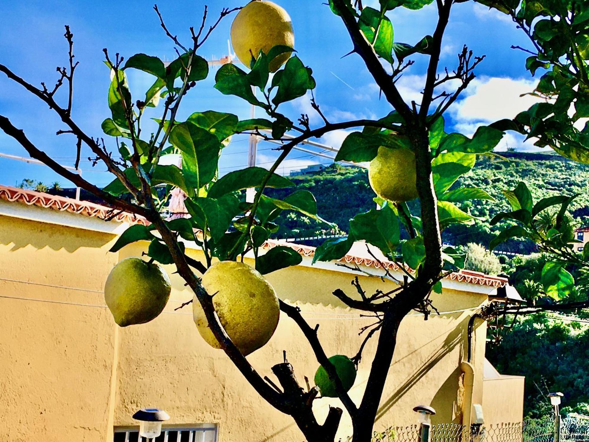 Casa Dominica *