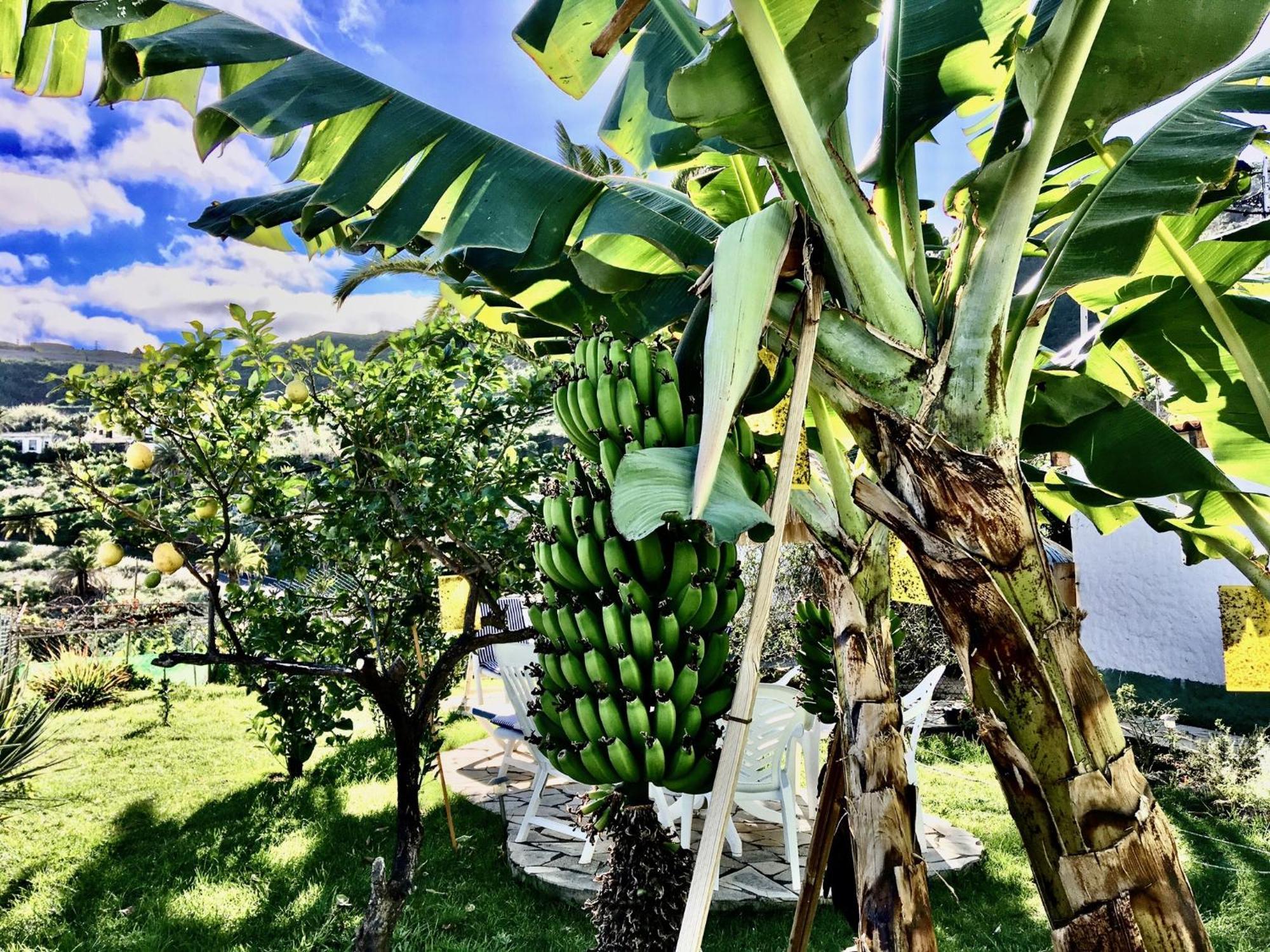 Apartamento Casa Dominica