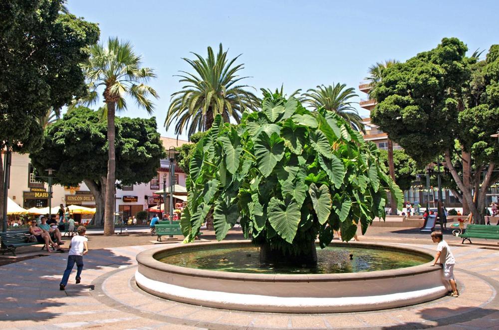 Heaven In Canary Islands 88 Appartement *