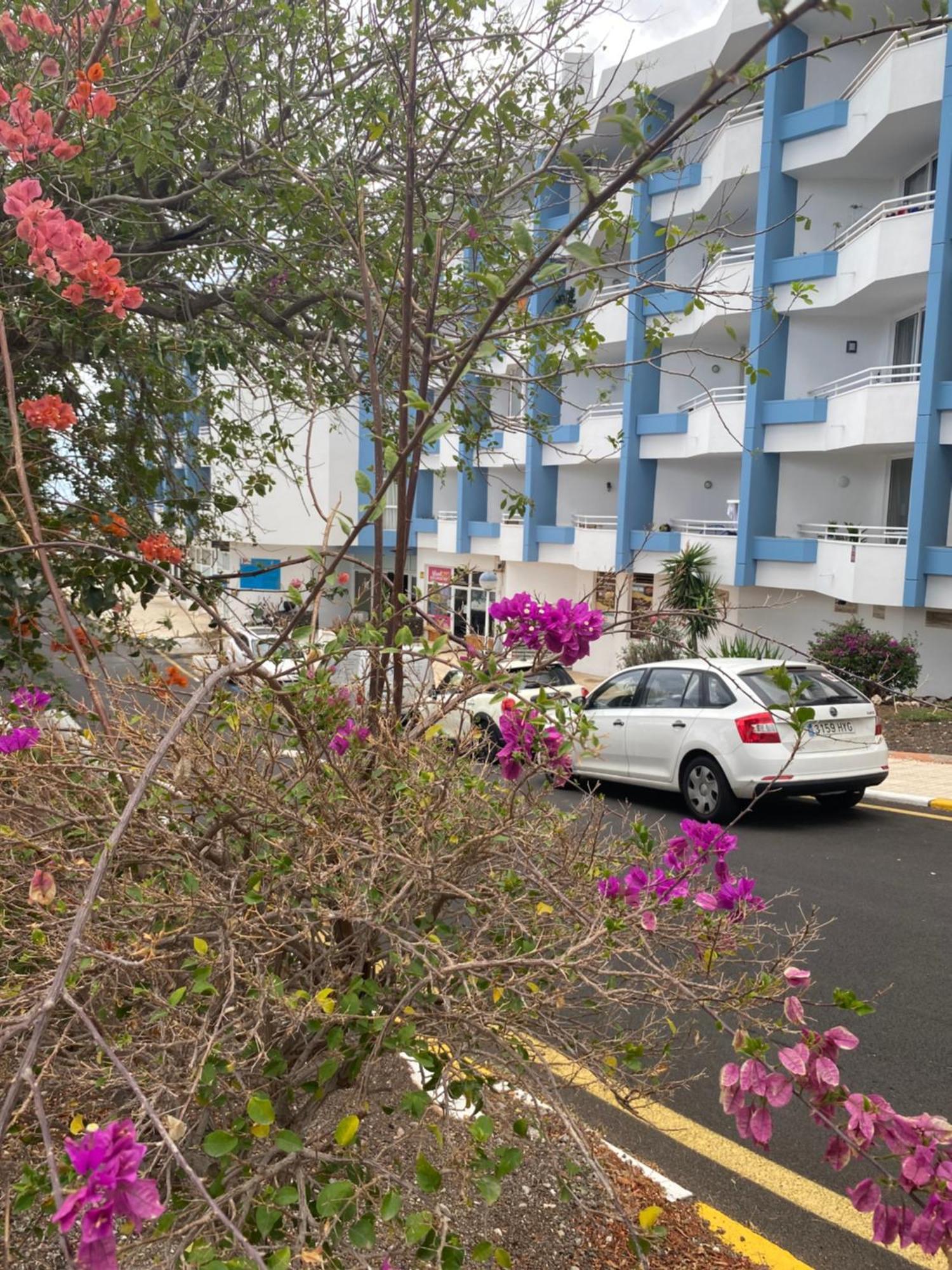 Sissy Tenerife Apartment *