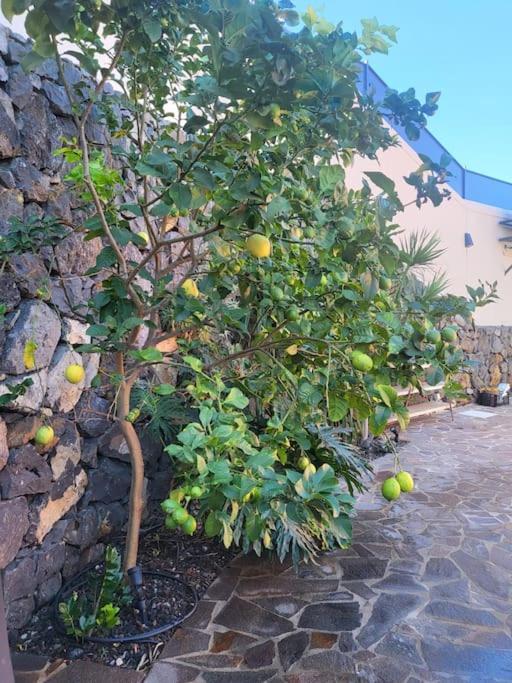 Holiday home El Eden