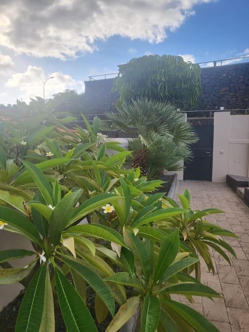 Holiday home El Eden El Pris