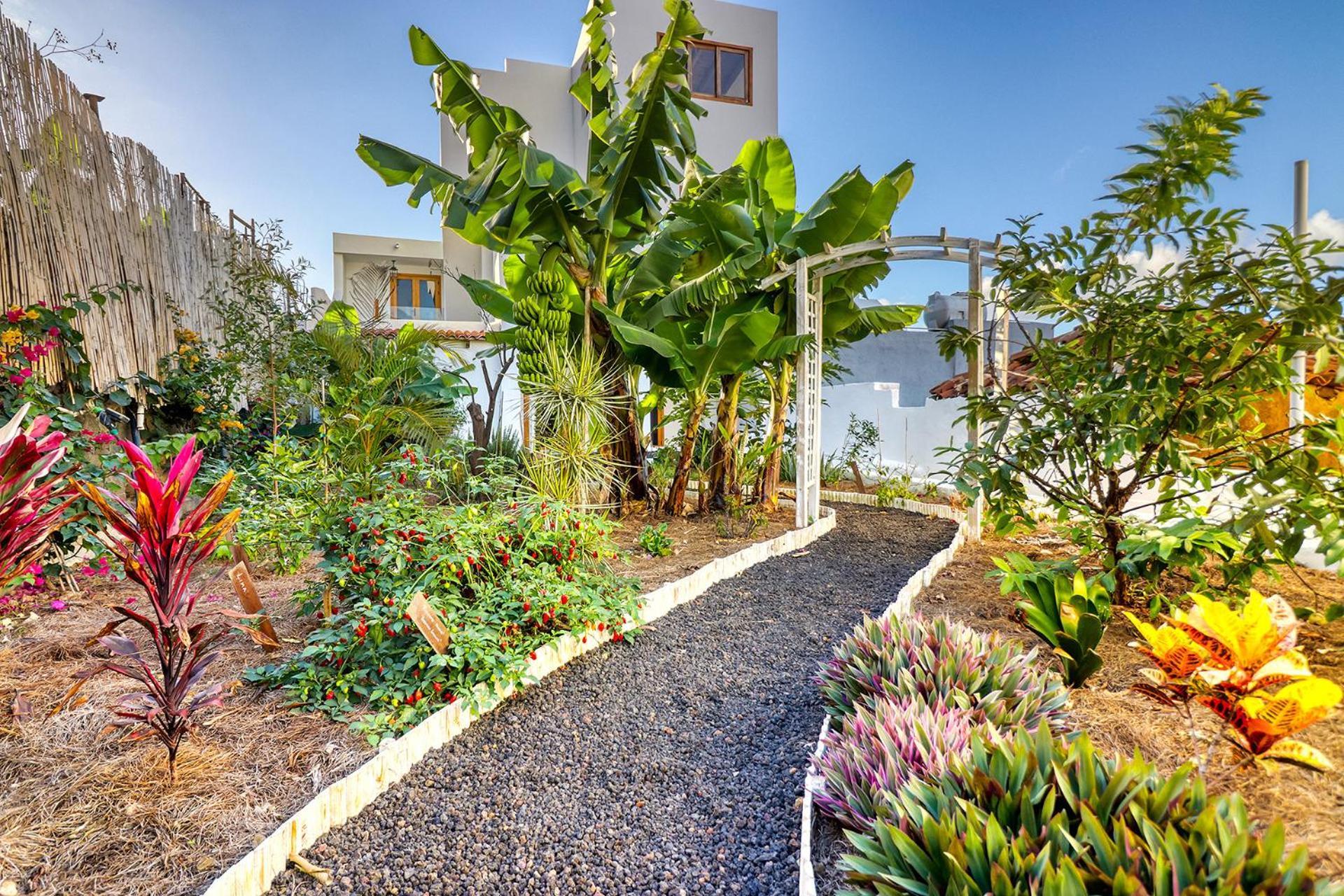 Spacious With Tropical Garden, Bbq, Near Seaside Holiday home