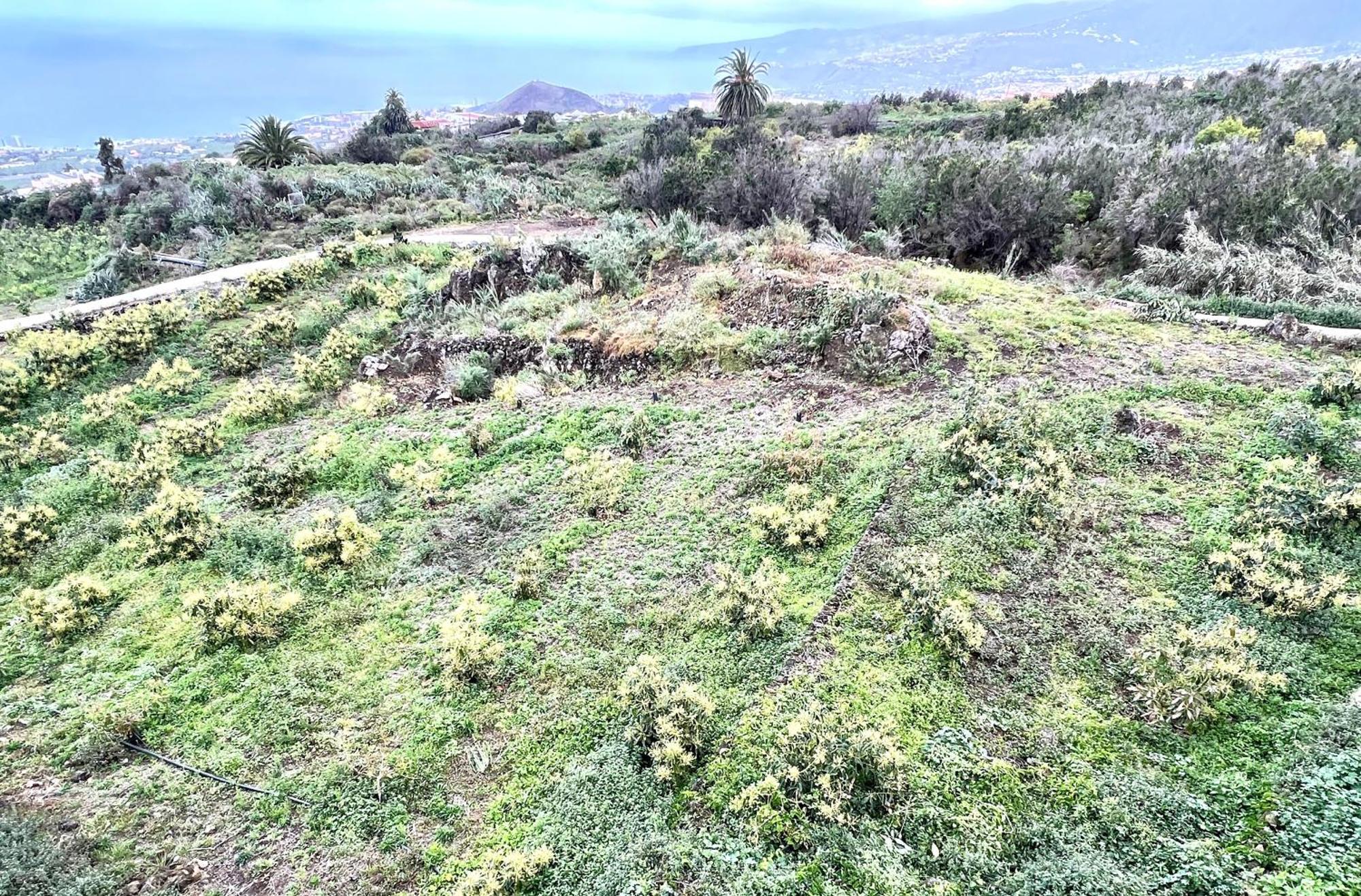 Casa Vacacional Bevi - Tenerife Norte