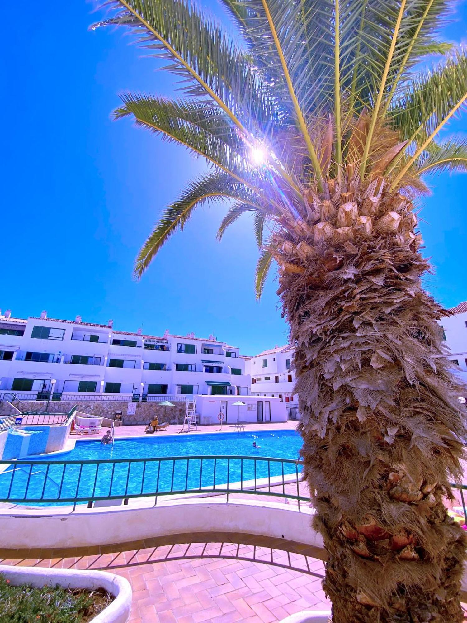 Apartment Tropicalidays Sunset Palm