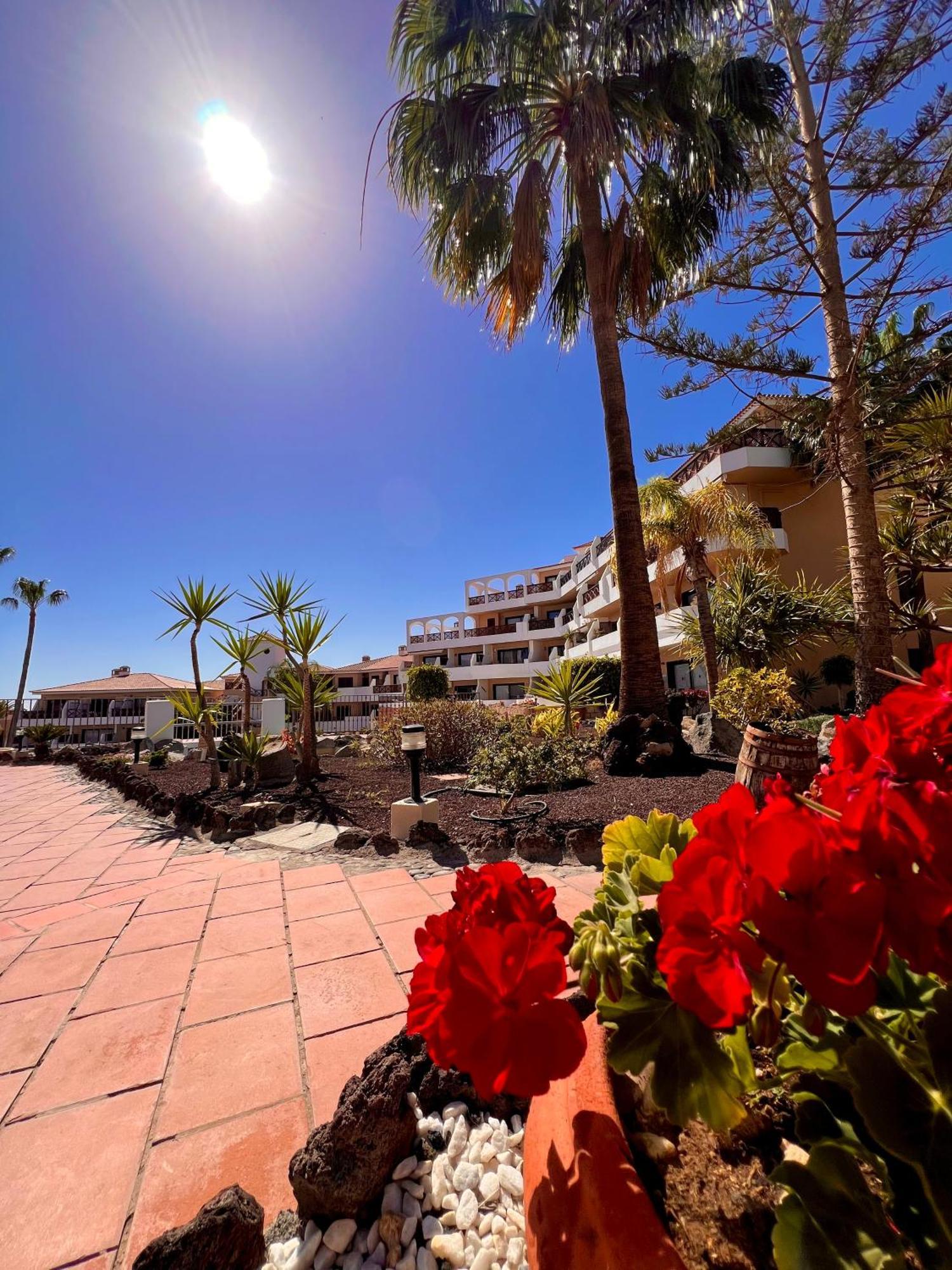 Apartamento Hermoso Estudio Parque Albatros San Miguel de Abona