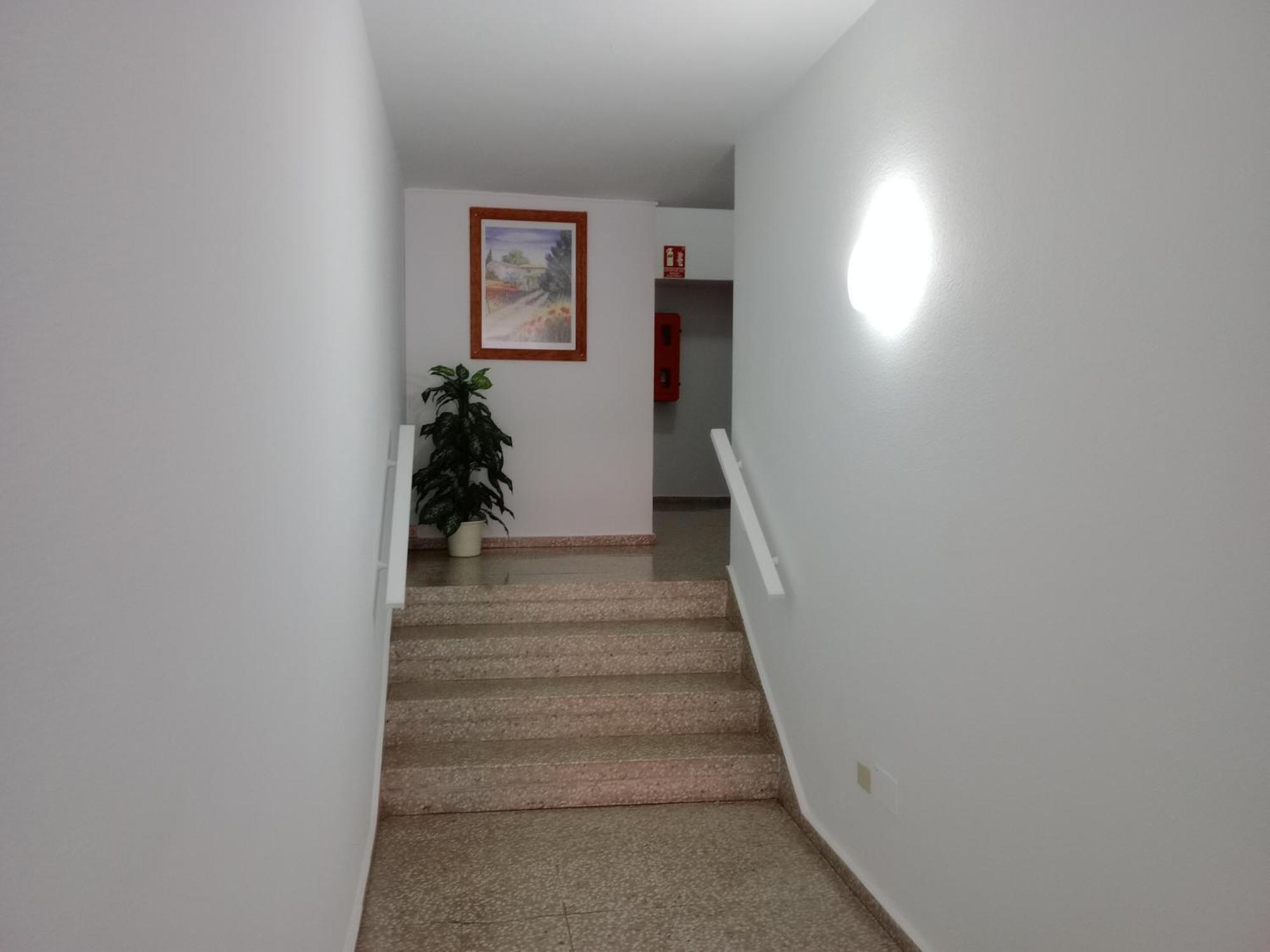 La De A 5km De Puerto De La Cruz Appartement *