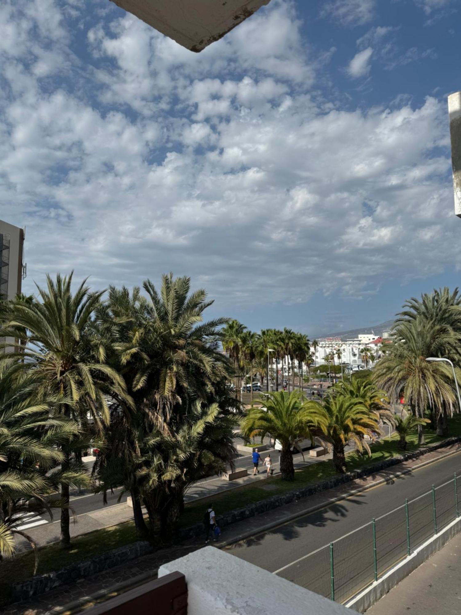Piteras * Arona (Tenerife)