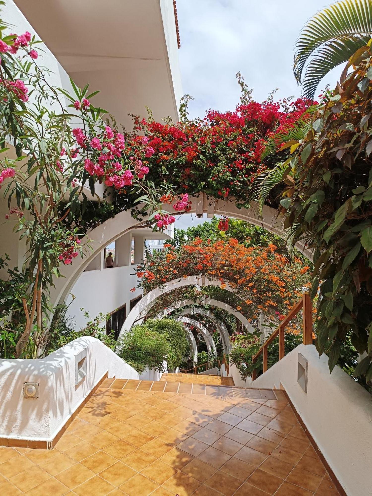 29 Parque Royal Costa Adeje (Tenerife)