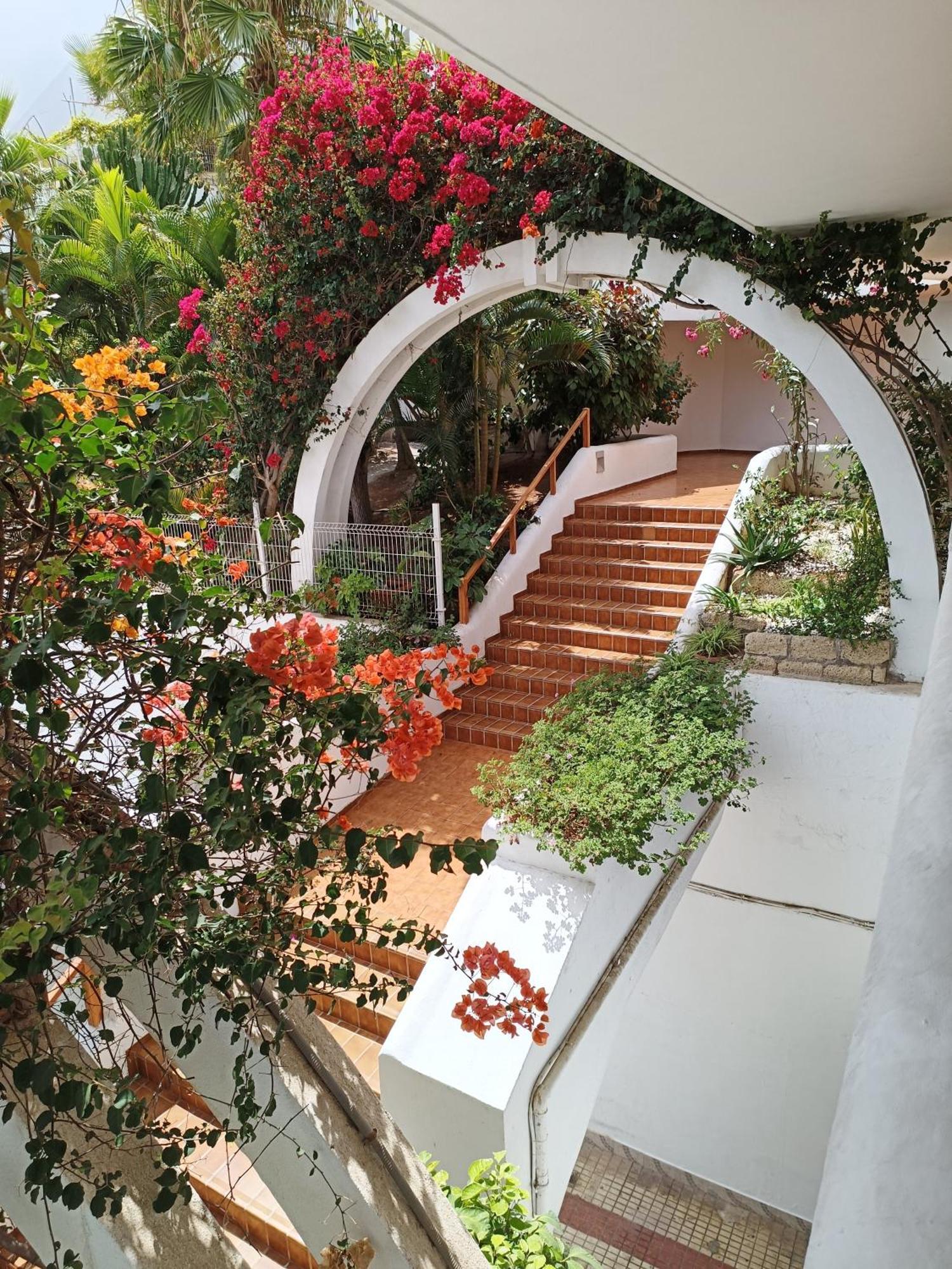 29 Parque Royal