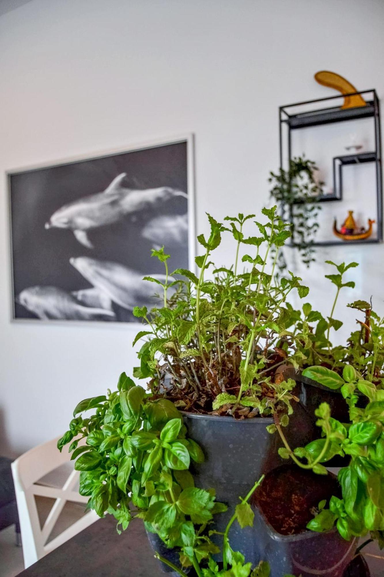 Casa Felipe V Apartment