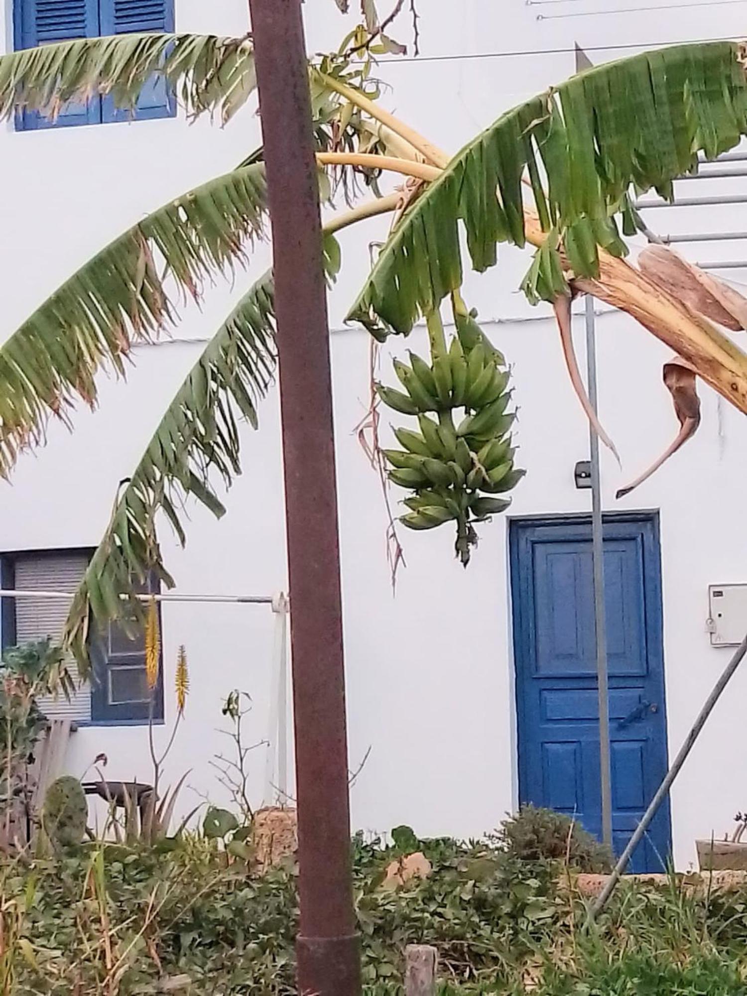 Mary Apartamento