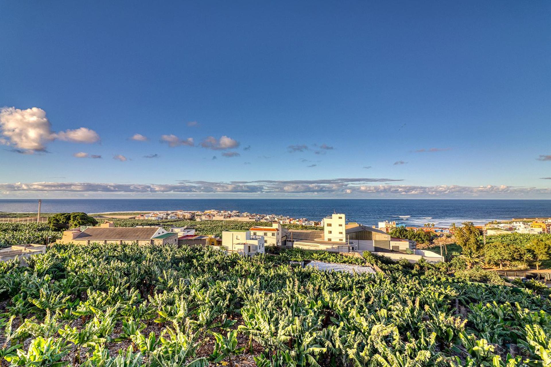 Spacious With Tropical Garden, Bbq, Near Seaside *