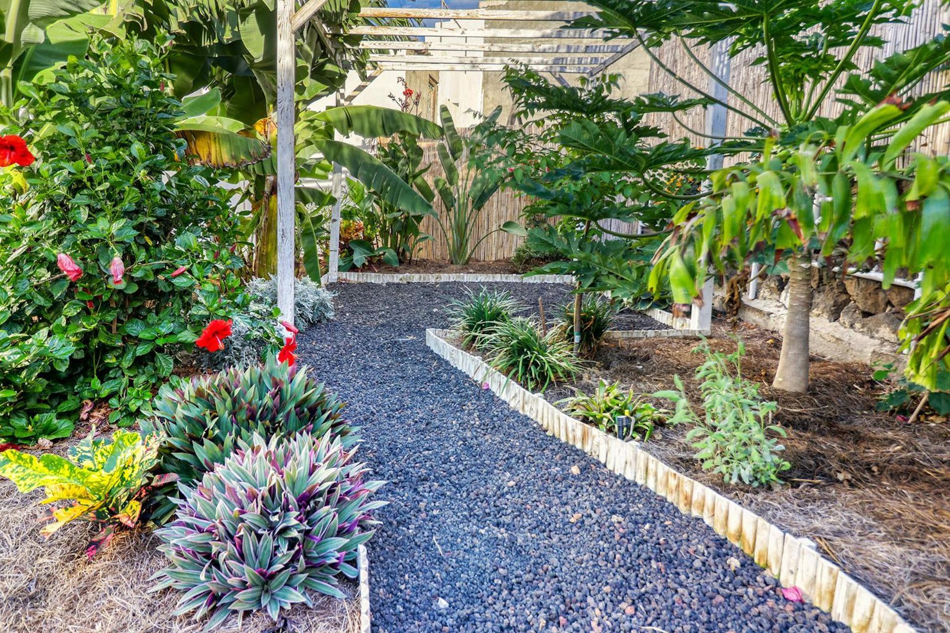 Holiday home Spacious With Tropical Garden, Bbq, Near Seaside