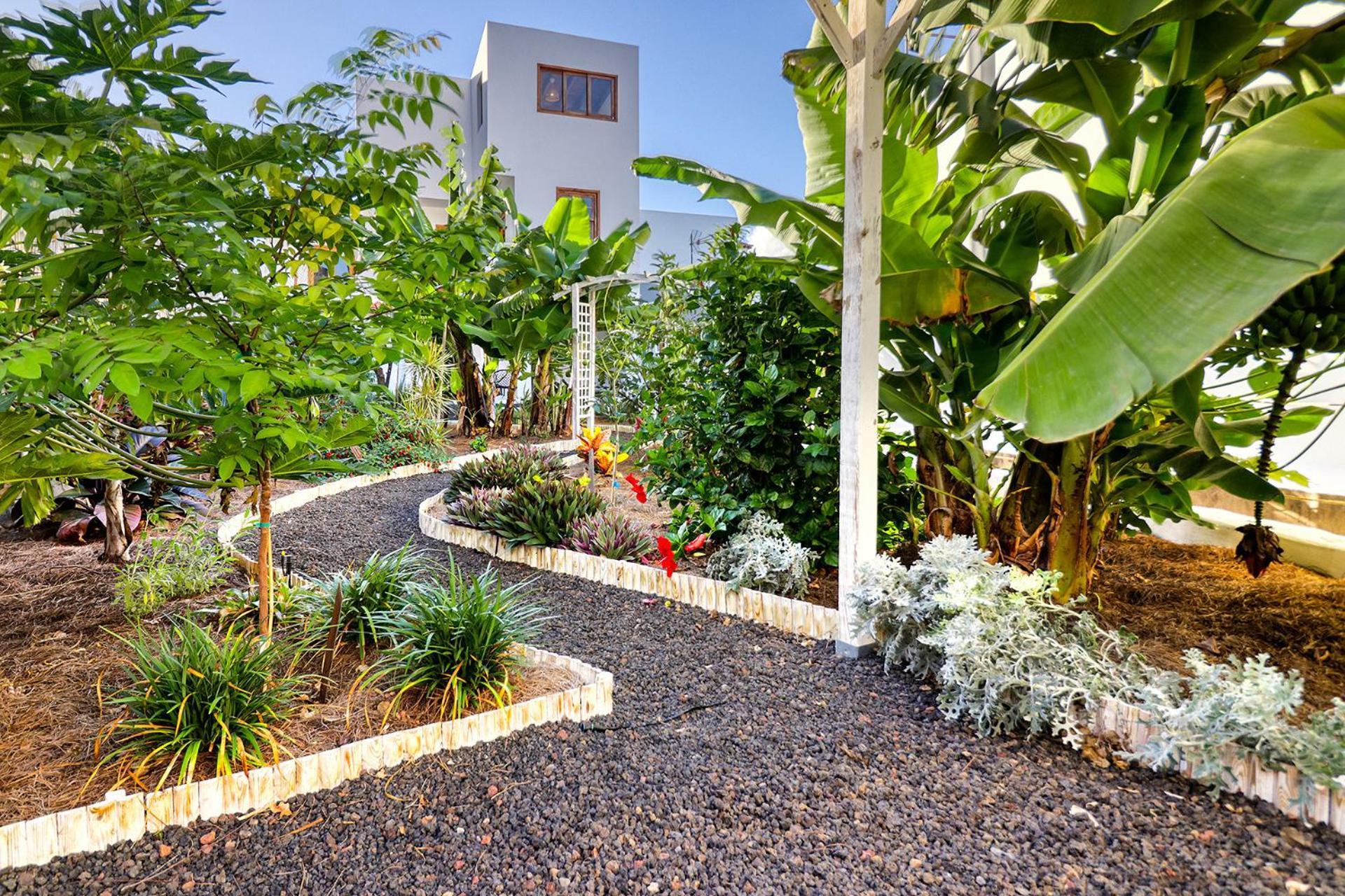 Spacious With Tropical Garden, Bbq, Near Seaside * Los Silos