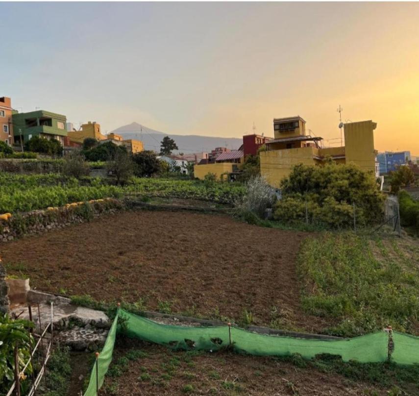 Holiday home Ca Na Paula La Orotava