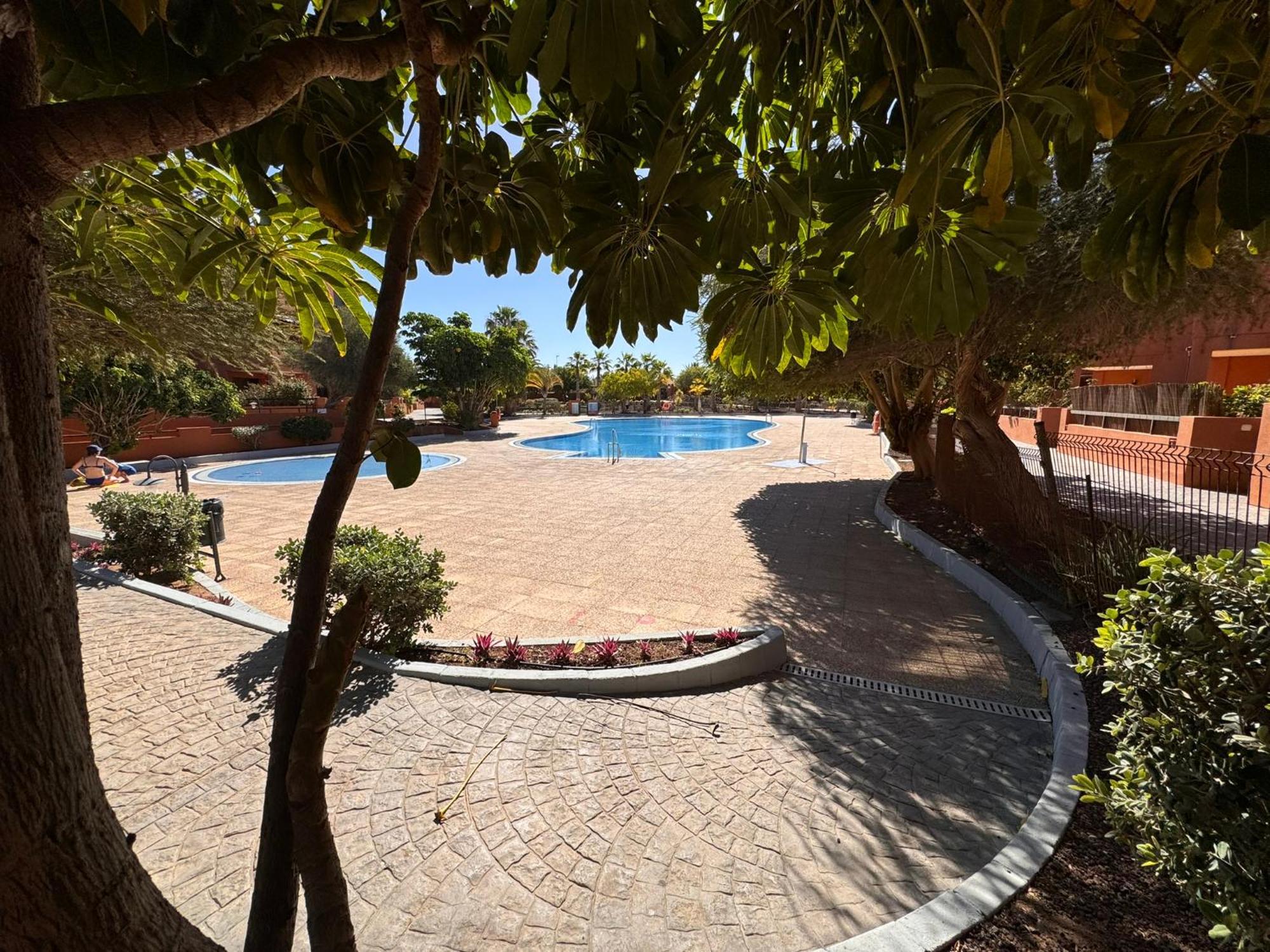 Alquilaencanarias Sotavento Paradise