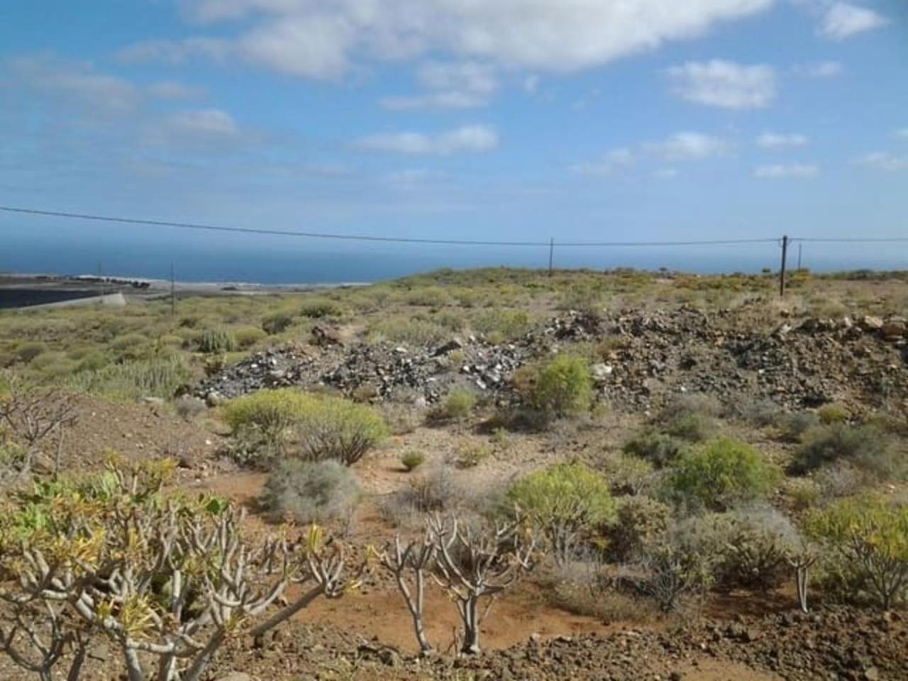 Finca Avestruz * San Isidro (Tenerife)